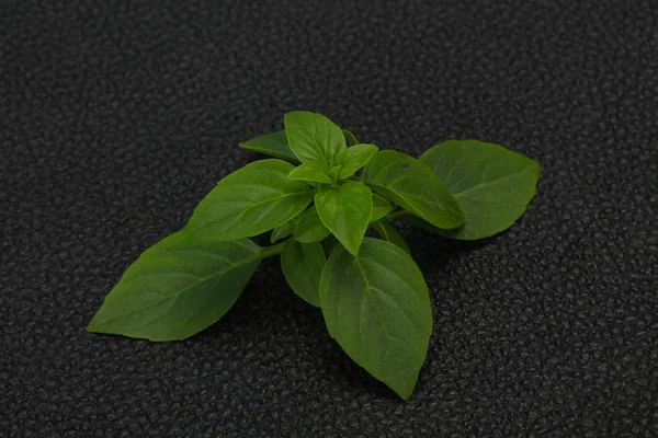 신선한 녹색 바질 잎 - 요리 — 스톡 사진