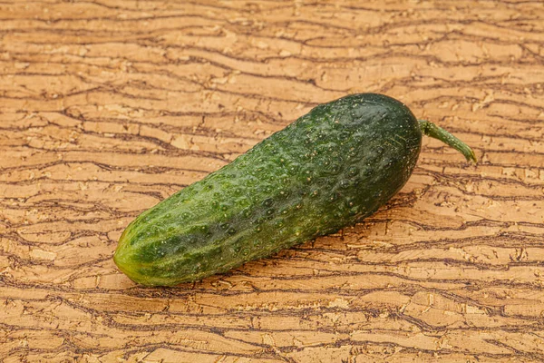 Green ripe fresh cucumber over background — Stock Photo, Image
