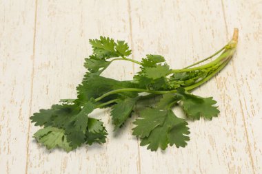 Taze olgun Yeşil kişniş yaprakları