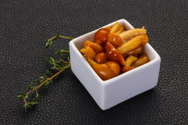 Turşu tatlım agaric