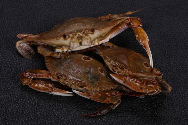 Rohe Krabben - bereit zum Kochen — Stockfoto