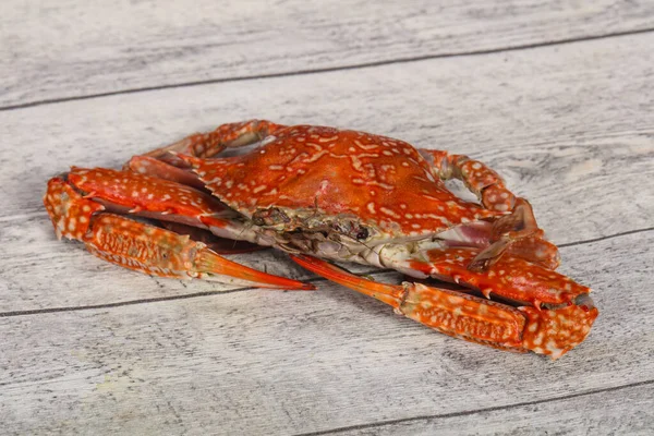 Gotowane krab-gotowe do spożycia — Zdjęcie stockowe