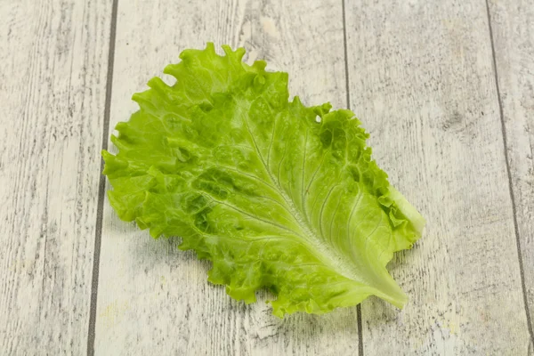 Cucina alimentare Foglie di insalata verde — Foto Stock