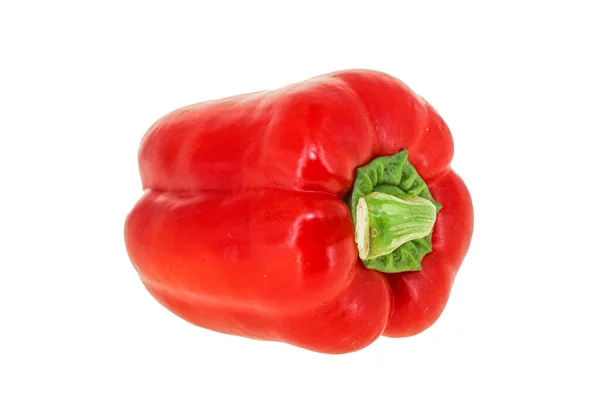 Red Bell Pepper Zralá Šťavnatá Čerstvá — Stock fotografie