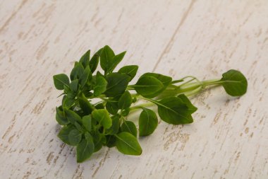 Yeşil fesleğen yaprakları - aromalı bitkiler