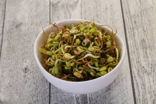 Germoglio Fagioli Purè Nella Ciotola — Foto Stock