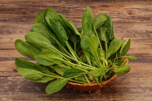 Vegan Cuisine Fresh Green Spinach Leaves Heap — Stock Photo, Image