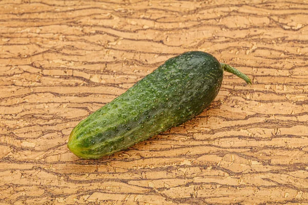 Green Ripe Fresh One Cucumber Background — Stock Photo, Image
