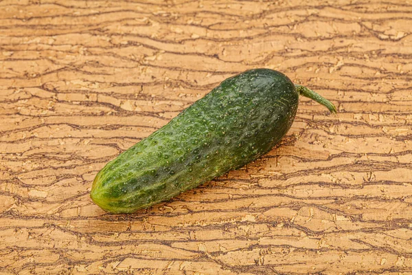 Verde Maduro Fresco Pepino Sobre Fundo — Fotografia de Stock