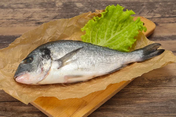 Raw Dorada Fisk Redo För Matlagning — Stockfoto