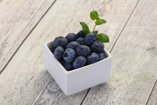 Sweet Tasty Blueberry Bowl — Stock Photo, Image