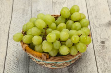 Olgun taze yeşil üzüm dalı