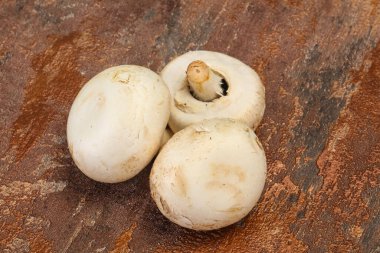 Raw Champignon hurdalığı yemek yapmaya hazır.