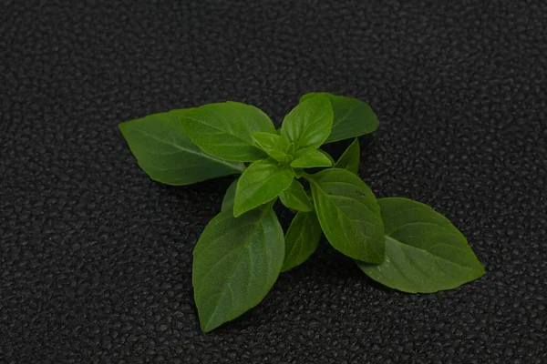 Taze Yeşil Fesleğen Yaprakları Pişirmek Için Bitki — Stok fotoğraf