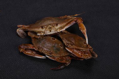 Doğal Çiğ yengeç - pişirme için hazır