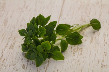 Yeşil fesleğen yaprakları - aromalı bitkiler