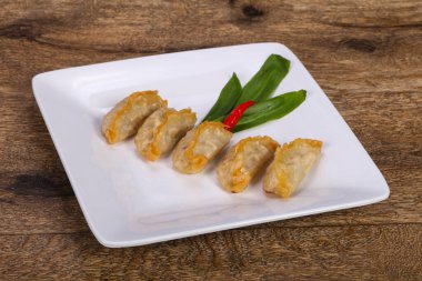 Geleneksel Japon mutfağı Gyoza köfteleri et ve deniz ürünleri.