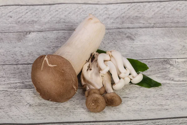 Raw Asian mushroom heap - ready for cooking