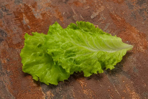 素食烹调绿叶沙拉 — 图库照片