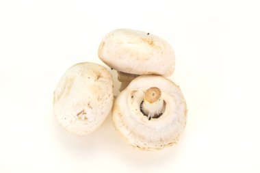 Raw Champignon hurdalığı yemek yapmaya hazır.