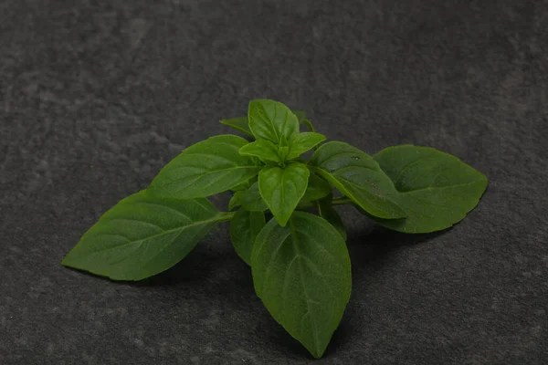 Friss Zöld Bazsalikom Levelek Főzés Gyógynövény — Stock Fotó