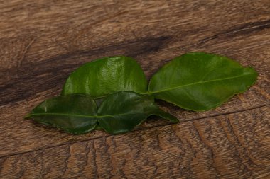 Kafir kireç yaprakları - Asya mutfağı çorba için ek