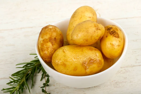 Raw Young Potato Herbs — Stock Photo, Image