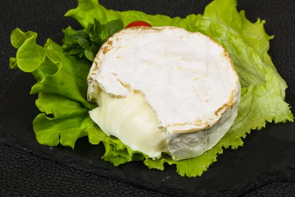 Delikater Camembert Käse Mit Salatblättern — Stockfoto