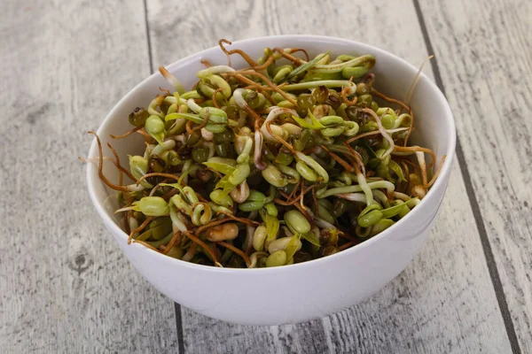 Germoglio Fagioli Purè Nella Ciotola — Foto Stock