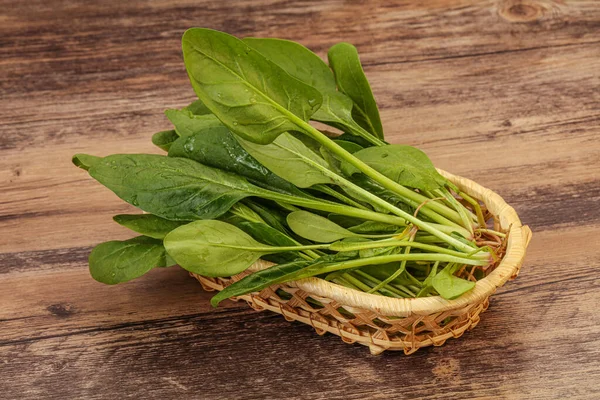 Cucina Vegana Fresca Foglia Spinaci Verde Mucchio — Foto Stock