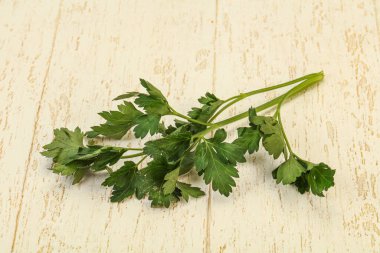 Aroma Green taze maydanoz dalı bitkisi