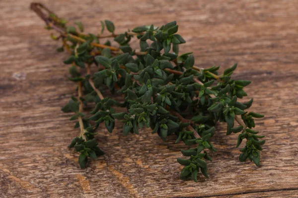 Green Thyme Branch Spice Cooking — Stock Photo, Image