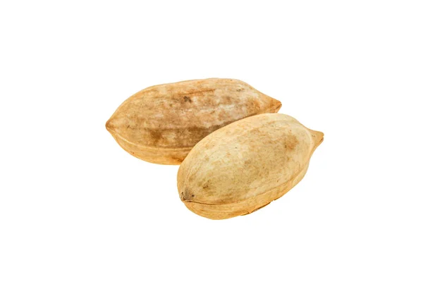 Ripe Tasty Two Whole Pecan Nuts — Stock Photo, Image