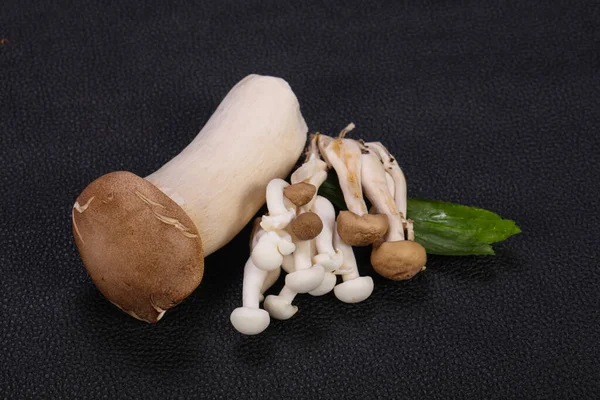 Raw Asian Mushroom Heap Ready Cooking — Stock Photo, Image