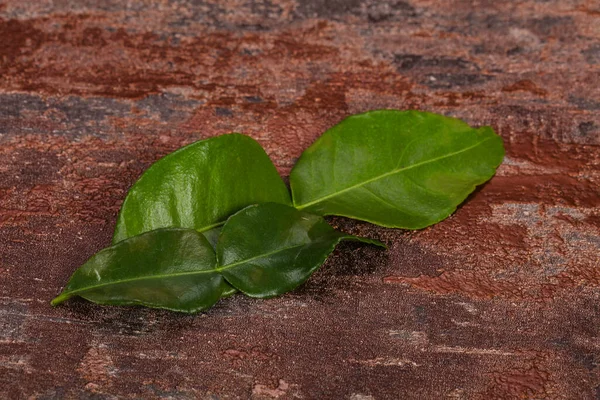 Feuilles Tilleul Kafir Ajout Pour Soupe Cuisine Asiatique — Photo