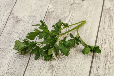 Aroma Green taze maydanoz dalı bitkisi