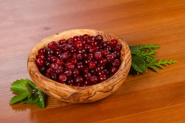 Frosen Cranberry Wooden Bowl — Stock Photo, Image