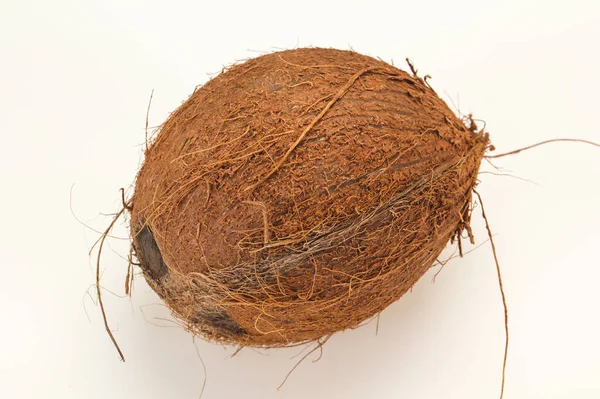 成熟的椰子 孤立的白色背景上 — 图库照片