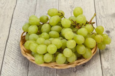 Olgun taze yeşil üzüm dalı