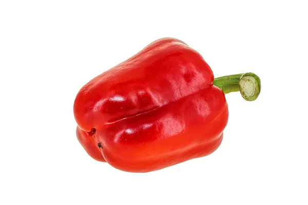 Red Bell Pepper Maduro Suculento Fresco — Fotografia de Stock