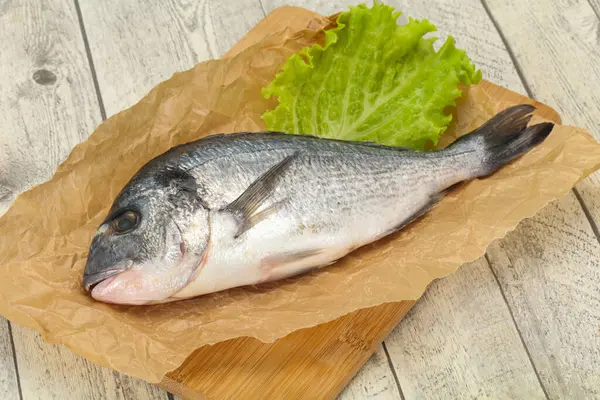 Pesce Crudo Dorada Pronto Cottura — Foto Stock