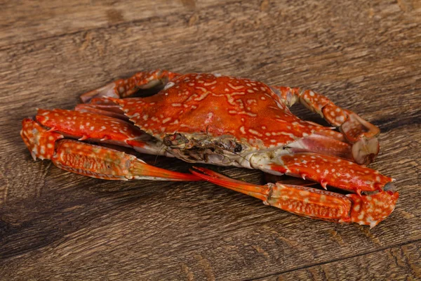 Delikat Gekochte Krabben Fertig Zum Essen — Stockfoto