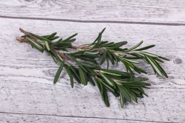 Taze yeşil Rosaemary şube - yemek pişirmek için baharat