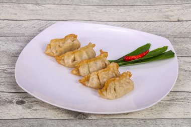 Geleneksel Japon mutfağı Gyoza köfteleri et ve deniz ürünleri.