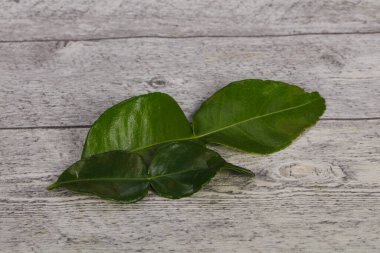 Kafir kireç yaprakları - Asya mutfağı çorba için ek