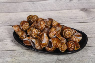 Lezzetli yumuşakça-yemek için hazır kase Babylon benekli