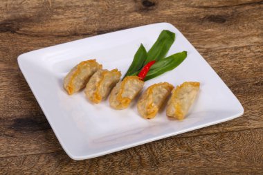 Geleneksel Japon mutfağı Gyoza köfteleri et ve deniz ürünleri.