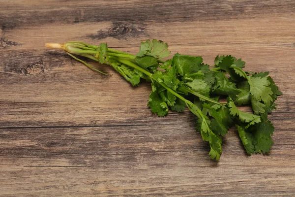 Fresh Ripe Green Cilantro Leaves Spice — Stock Photo, Image