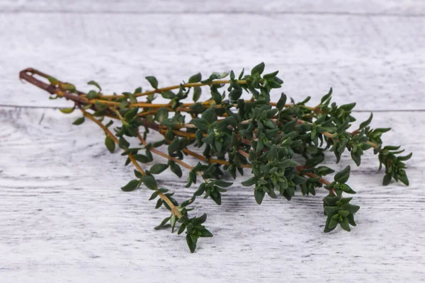 Grüner Thymianzweig Gewürz Zum Kochen — Stockfoto