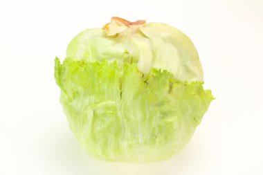 Taze yeşil buzdağı salatası. Pişmeye hazır.